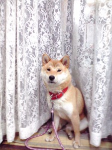p1000378 p1000378